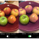 colorblindnessapp